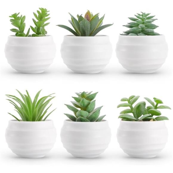 Set of 6 Succulents Plants Artificial in Pots Fake Plants Home Decor - Picture 1 of 3
